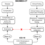 6_-_pregnancy-related_case_1_.png