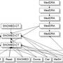 conditiondomain.jpg