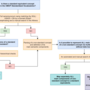 mapping_of_concepts_2_1_4_.png