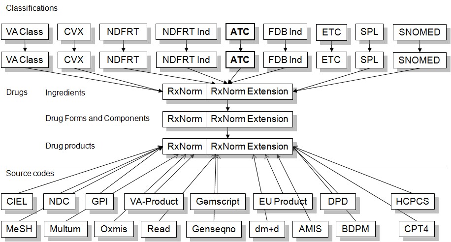 Structure of Drug Domain